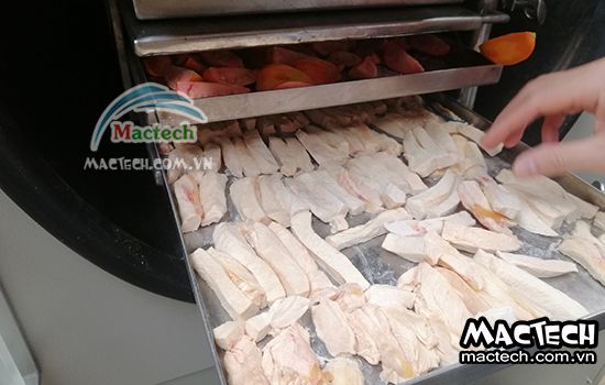 Chọn máy sấy nông sản phù hợp cho doanh nghiệp nhỏ