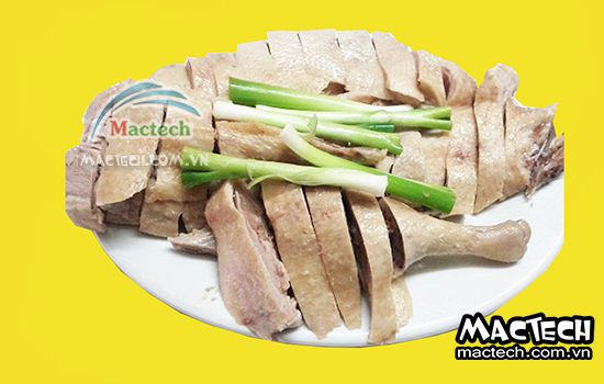 Máy sấy thăng hoa thịt vịt Mactech