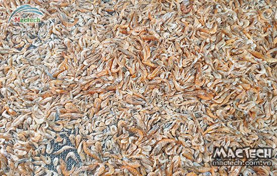 Đánh giá các dòng máy sấy nông sản phù hợp cho hộ kinh doanh nhỏ