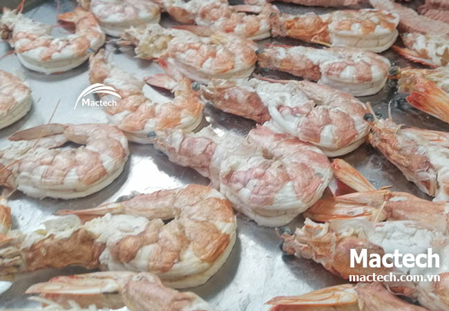 Máy sấy thăng hoa tôm Mactech