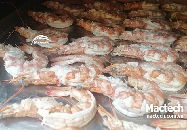 Tính chi phí sấy 1kg tôm thăng hoa