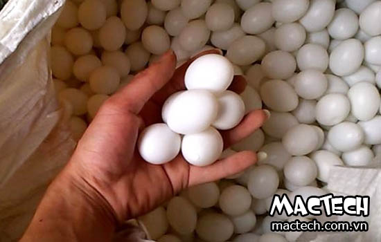 Trứng bồ câu giả dùng để làm gì