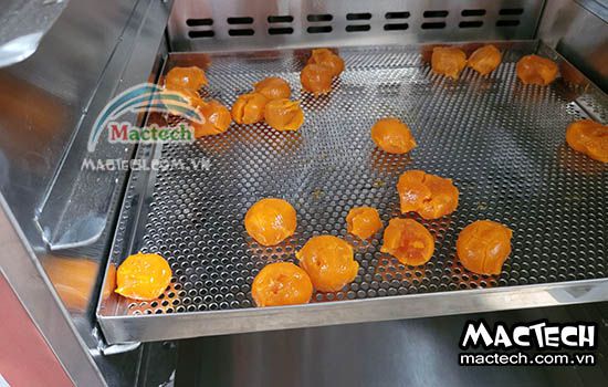 Máy sấy trứng muối Mactech