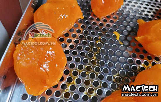 Máy sấy trứng muối Mactech