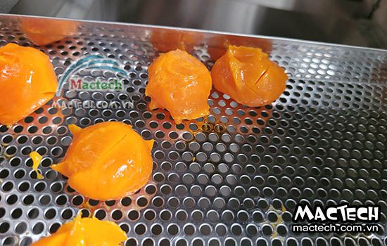 Máy sấy trứng muối Mactech