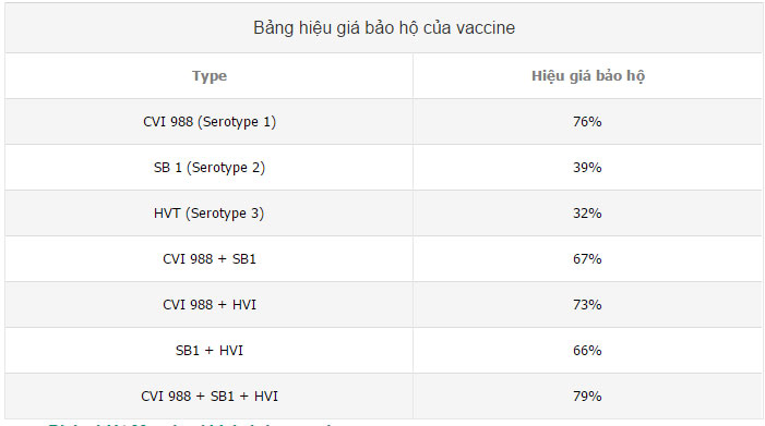 Hiệu giá sử dụng vaccine marek: