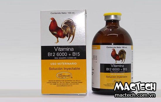 Các loại thuốc bổ cho gà chọi, 5 loại thuốc bổ cho gà nòi, gà đá