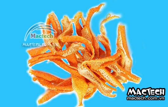 Máy sấy vỏ quất