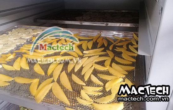 Xoài sấy dẻo lâu khô, tại sao lại có hiện tượng này