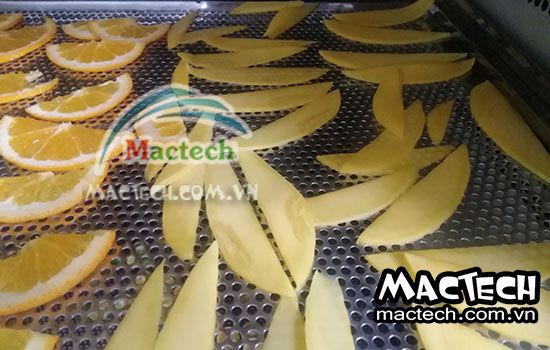 Cách làm xoài sấy dẻo thơm ngon tại nhà bằng máy sấy hoa quả