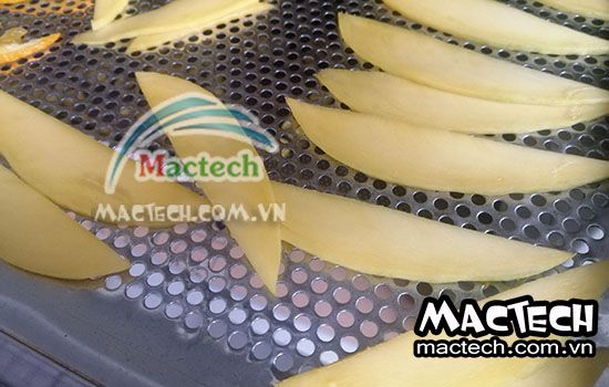 Máy sấy lạnh xoài Mactech, sấy bằng không khí khô mát cho chất lượng tốt
