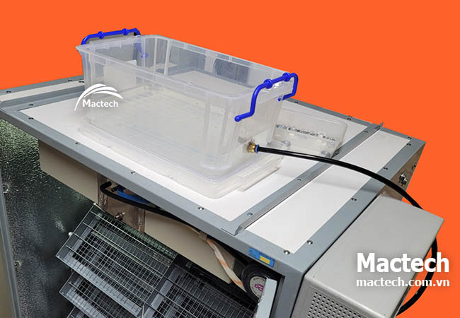 Xử lý khi máy ấp trứng báo hết nước mãi không tắt