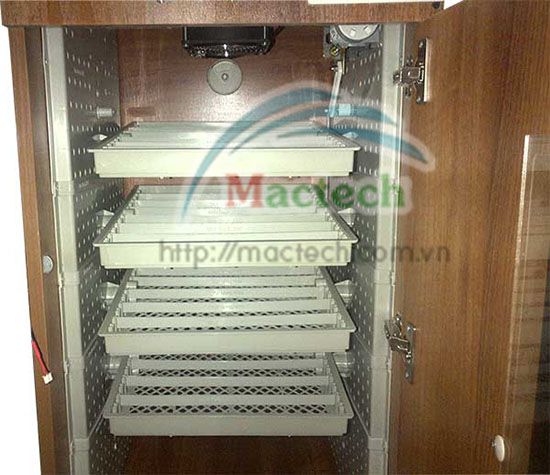Máy ấp trứng 400 trứng cút Mactech