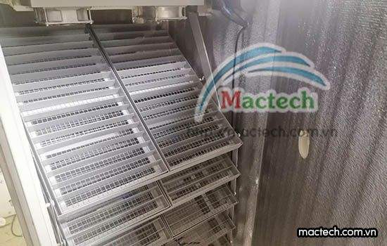 Giá máy ấp trứng Mactech