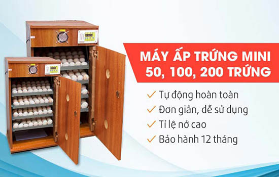 Máy ấp trứng mua ở đâu uy tín có bảo hành lâu dài