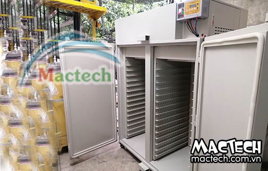 Máy sấy thủy sản Mactech, sấy chất lượng cao cho màu sắc đẹp