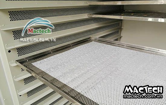 Báo giá máy sấy hoa quả Mactech tháng 4/2024