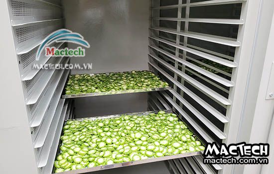 Máy sấy lạnh 500kg MSL5000 Mactech