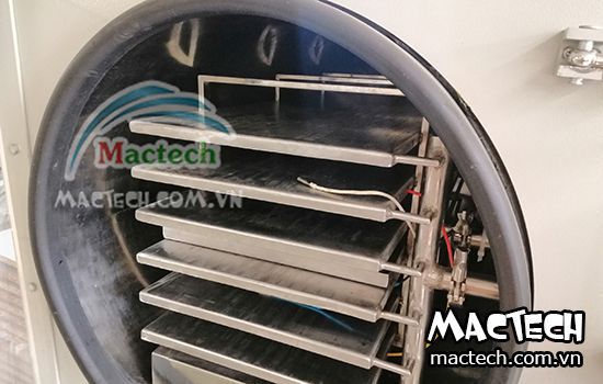 Sấy khô bột sắn dây nên chọn loại máy sấy nào cho phù hợp