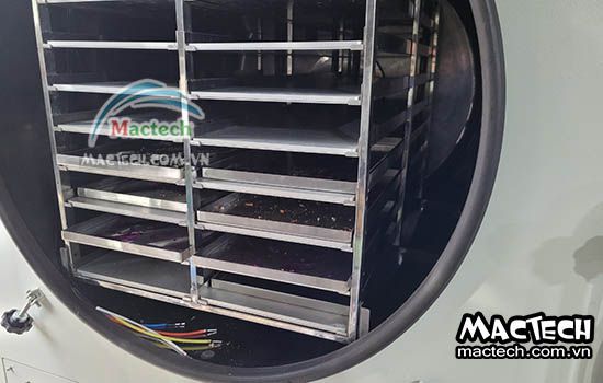 5 câu hỏi thường gặp khi mua máy sấy nông sản