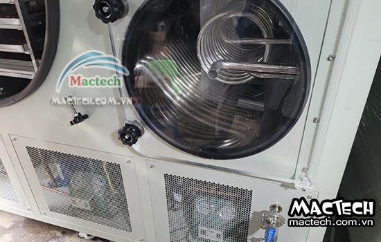 Máy sấy thăng hoa thực phẩm