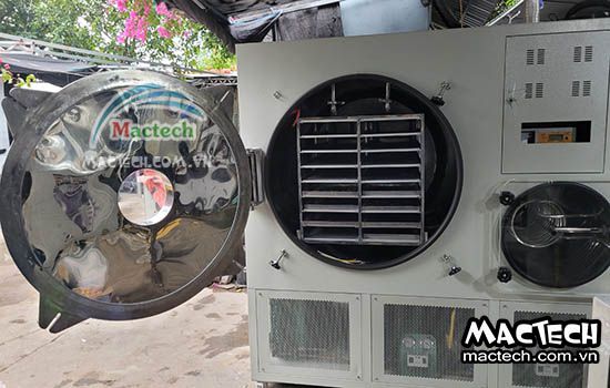 Báo giá máy sấy thăng hoa Mactech tháng 01/2024