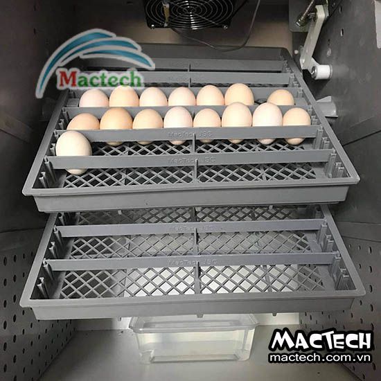 Case study: Tăng hiệu suất chăn nuôi nhờ sử dụng máy ấp trứng hiện đại