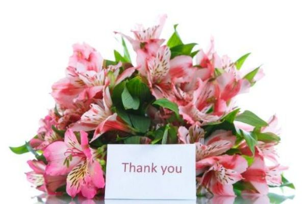 Hoa thủy tiên tượng trưng sự tốt đẹp yên lành trong cuộc sống, loài hoa kỷ niệm ngày cưới ý nghĩa