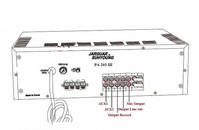 ampli karaoke