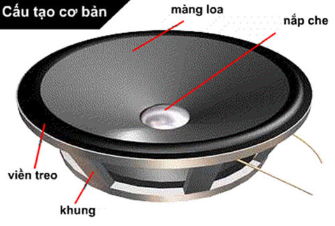 Cấu tạo của màng loa