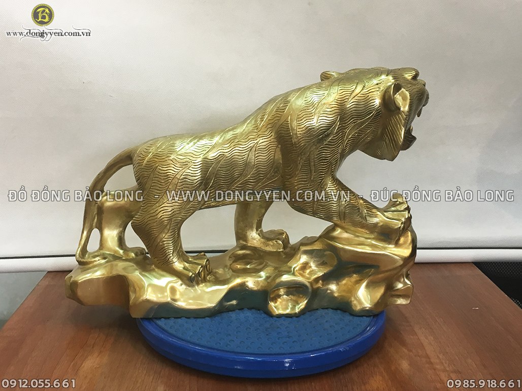 Hổ với tư thế cao sơn viễn vọng