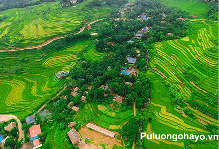 SĂN MÂY TẠI KHU BẢO TỒN THIÊN NHIÊN PÙ LUÔNG