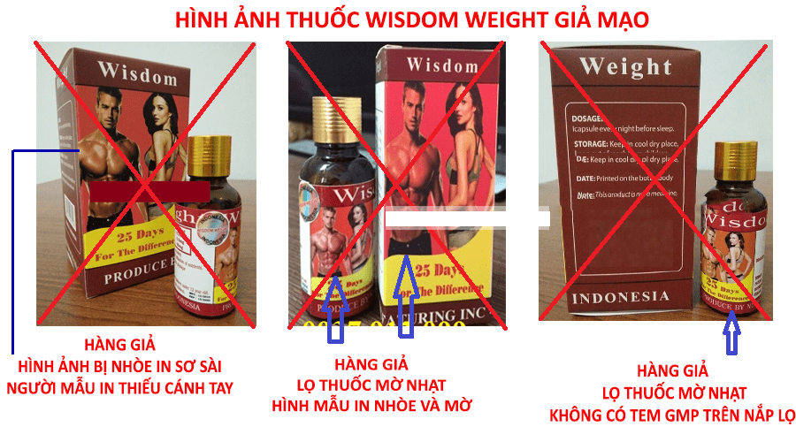 wisdom weight giả