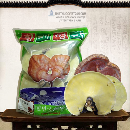 NẤM LINH CHI VÀNG THƯỢNG HẠNG ĐẶC BIỆT