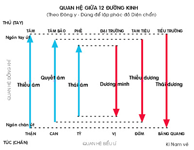 Cách lập phác đồ Diện chẩn
