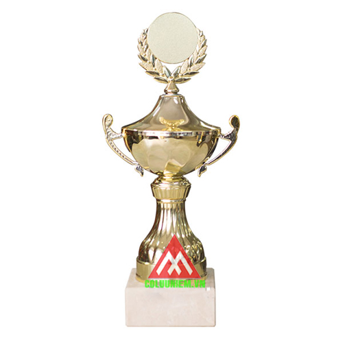 Cúp lưu niệm 8V-0137