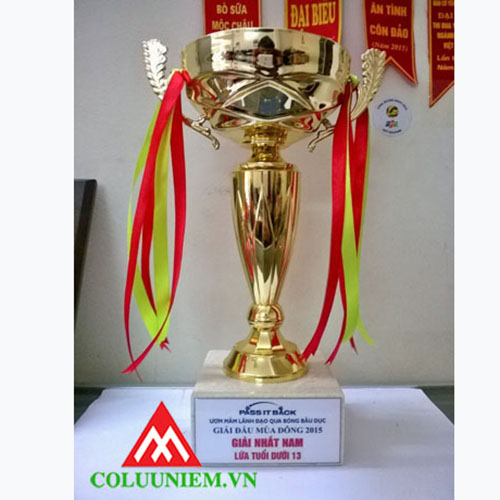 Cúp 8V - 043