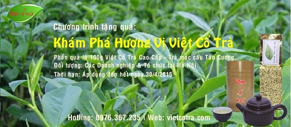 Công ty chè Thái Nguyên - Việt Cổ Trà