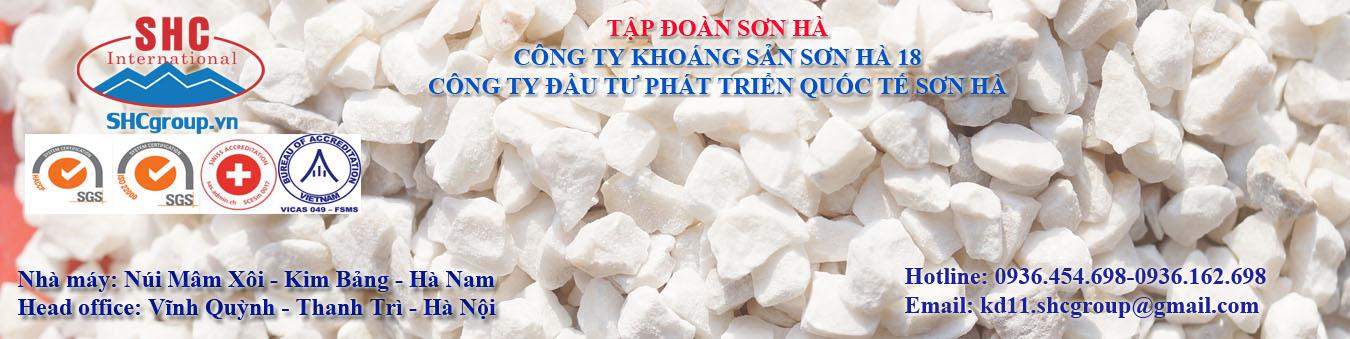 CÔNG TY TNHH ĐTPT QUỐC TẾ SƠN HÀ