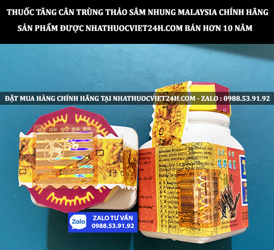 THUỐC TĂNG CÂN TRÙNG THẢO SÂM NHUNG CHÍNH HÃNG MALAYSIA