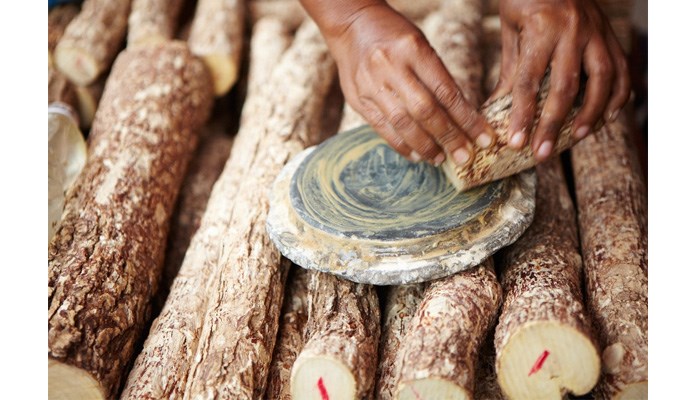 Kết quả hình ảnh cho Nguồn gốc bột Thanakha độc đáo của người Myanmar