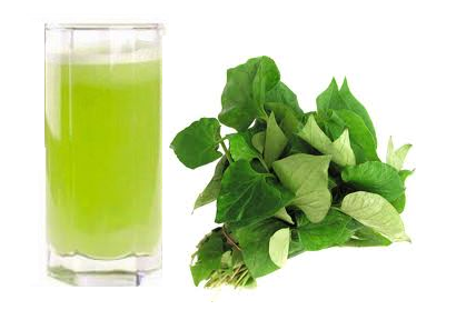 Vào ngày đèn đỏ có nên ăn rau diếp cá không vao-ngay-den-do-co-nen-rau-diep-ca-khong-1