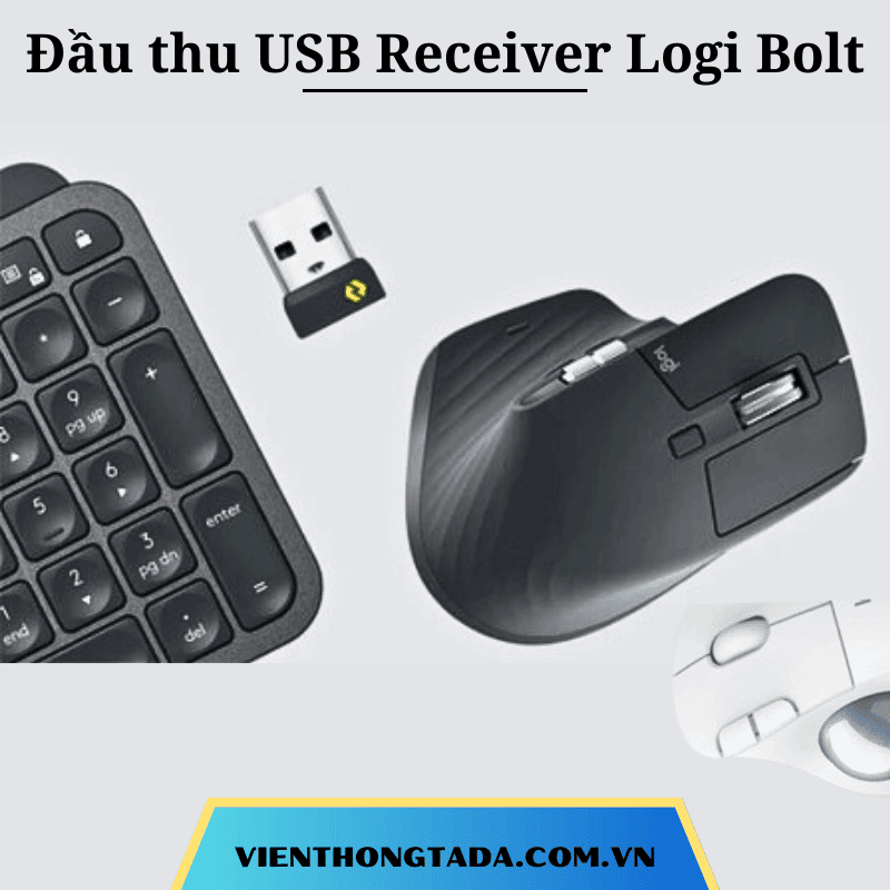 Đầu thu USB Receiver Logi Bolt