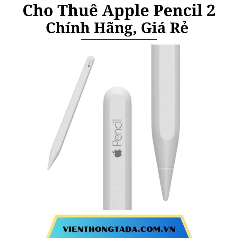 Cho Thuê Apple Pencil 2 Chính Hãng, Giá Rẻ Tại Hà Nội, Hải Phòng, TP Hồ Chí Minh
