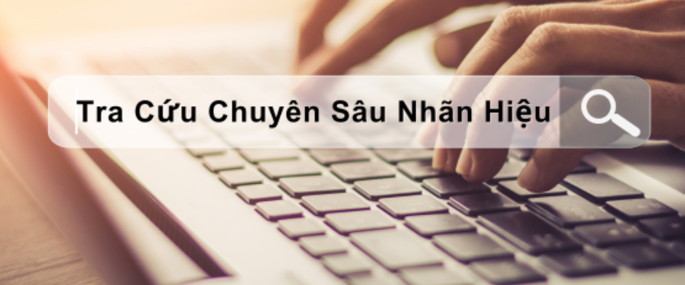 Dịch vụ tra cứu nhãn hiệu chuyên sâu