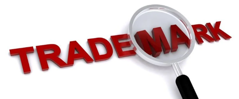 Dịch vụ tra cứu nhãn hiệu chuyên sâu