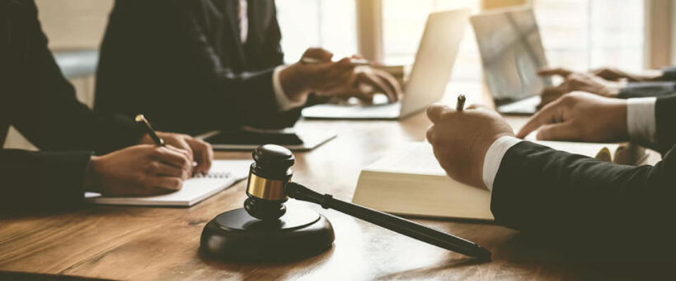 Dịch vụ tra cứu nhãn hiệu chuyên sâu