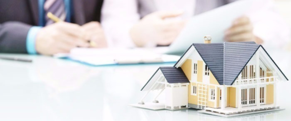 hợp đồng chuyển nhượng đất nông nghiệp