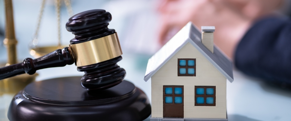 Dịch vụ tư vấn hợp đồng chuyển nhượng quyền sử dụng đất