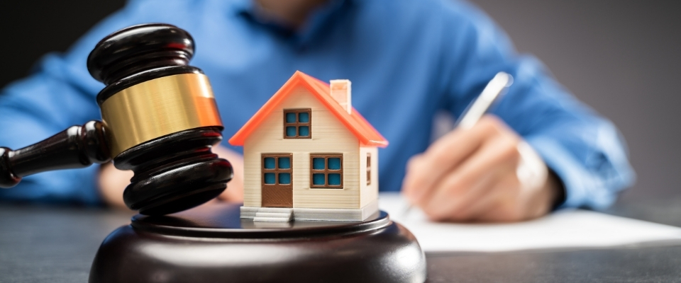 Dịch vụ tư vấn hợp đồng chuyển nhượng quyền sử dụng đất